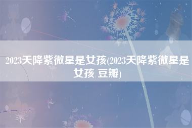 2023天降紫微星是女孩(2023天降紫微星是女孩 豆瓣)