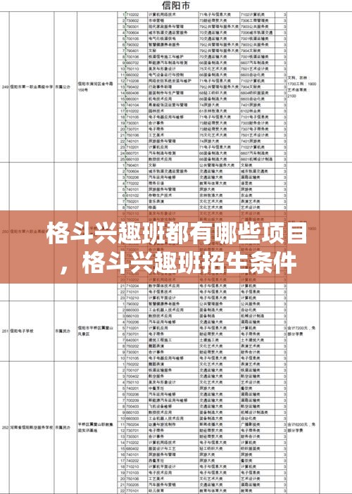 格斗兴趣班都有哪些项目，格斗兴趣班招生条件