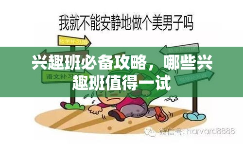 兴趣班必备攻略，哪些兴趣班值得一试