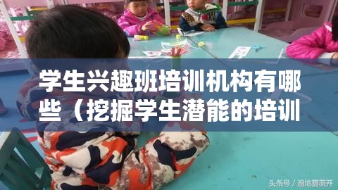 学生兴趣班培训机构有哪些（挖掘学生潜能的培训方式）