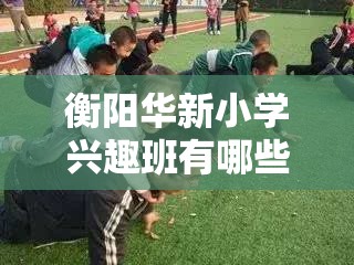 衡阳华新小学兴趣班有哪些（探索孩子的多彩兴趣世界）