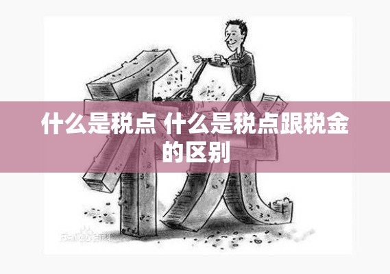 什么是税点 什么是税点跟税金的区别