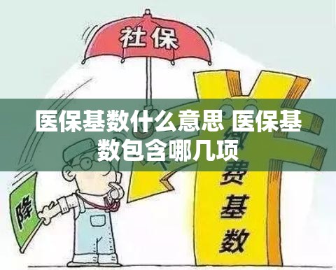 医保基数什么意思 医保基数包含哪几项