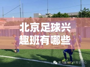 北京足球兴趣班有哪些公司（北京地区足球培训机构推荐）