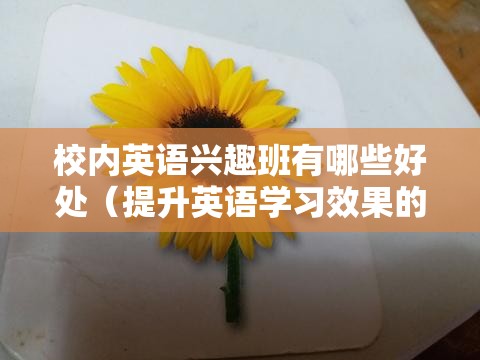 校内英语兴趣班有哪些好处（提升英语学习效果的秘诀）