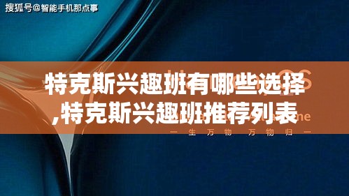 特克斯兴趣班有哪些选择,特克斯兴趣班推荐列表