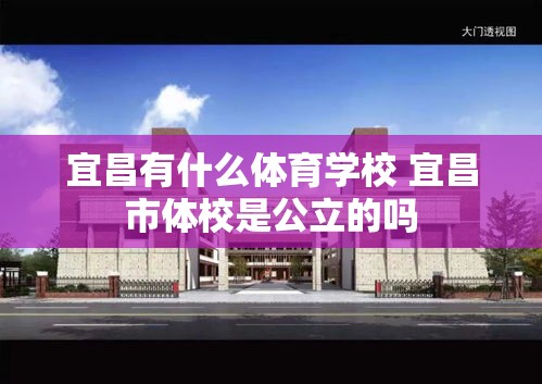 宜昌有什么体育学校 宜昌市体校是公立的吗