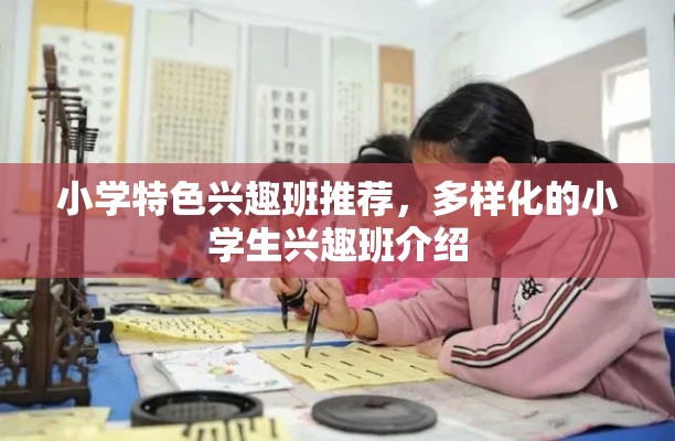 小学特色兴趣班推荐，多样化的小学生兴趣班介绍