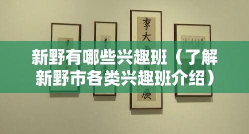 新野有哪些兴趣班（了解新野市各类兴趣班介绍）