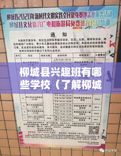 柳城县兴趣班有哪些学校（了解柳城县开设兴趣班的学校情况）