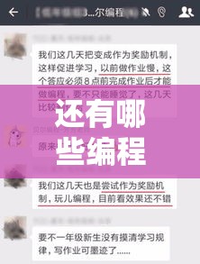 还有哪些编程兴趣班（探索编程领域的各种有趣班级）