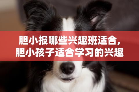 胆小报哪些兴趣班适合,胆小孩子适合学习的兴趣班推荐