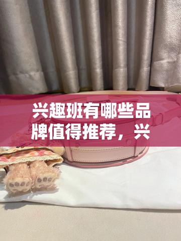 兴趣班有哪些品牌值得推荐，兴趣班培训机构排行榜