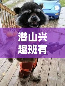 潜山兴趣班有哪些班型名称（潜山兴趣班课程分类介绍）