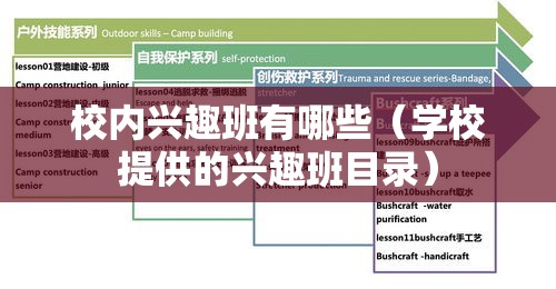 校内兴趣班有哪些（学校提供的兴趣班目录）