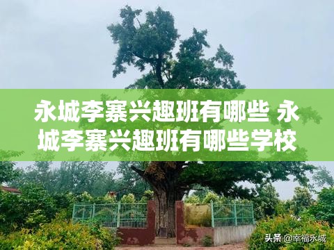 永城李寨兴趣班有哪些 永城李寨兴趣班有哪些学校