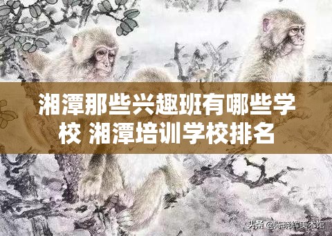 湘潭那些兴趣班有哪些学校 湘潭培训学校排名