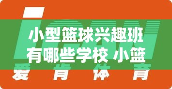 小型篮球兴趣班有哪些学校 小篮球培训班招生简章