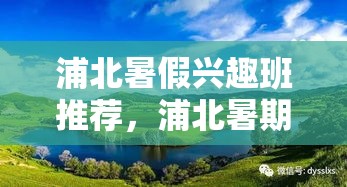 浦北暑假兴趣班推荐，浦北暑期活动精选