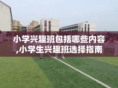 小学兴趣班包括哪些内容,小学生兴趣班选择指南