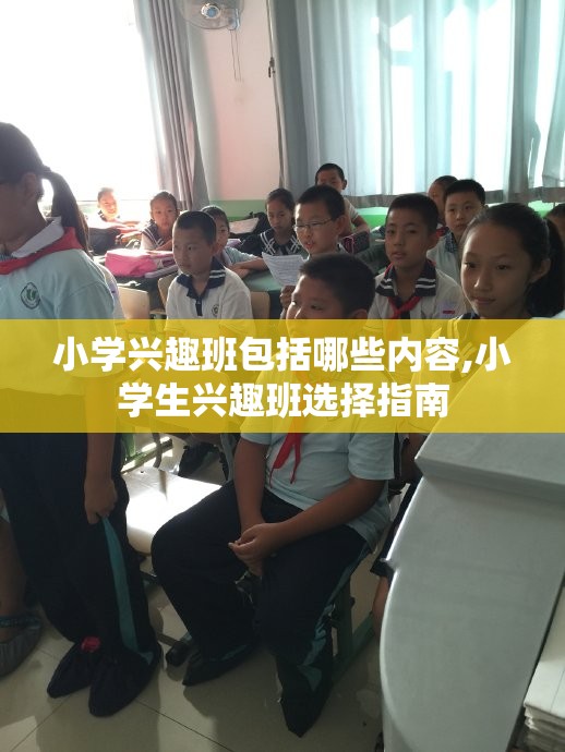 小学兴趣班包括哪些内容,小学生兴趣班选择指南