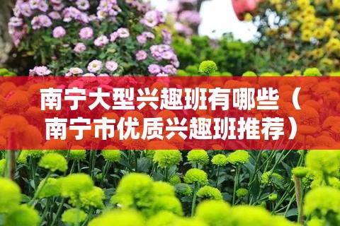 南宁大型兴趣班有哪些（南宁市优质兴趣班推荐）