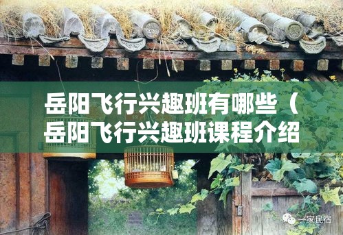 岳阳飞行兴趣班有哪些（岳阳飞行兴趣班课程介绍）