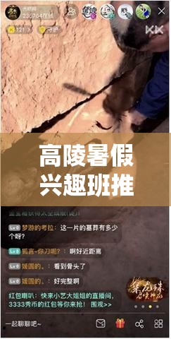 高陵暑假兴趣班推荐，高陵区暑假兴趣班活动精选