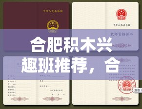 合肥积木兴趣班推荐，合肥积木教育机构盘点