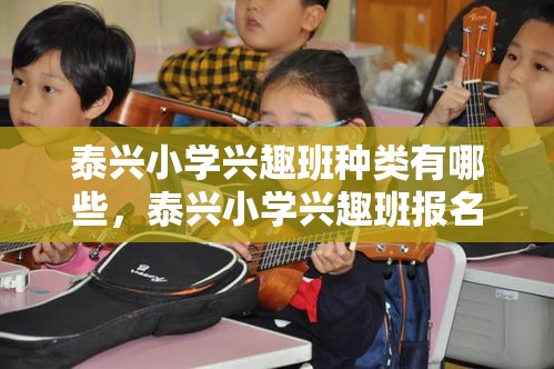 泰兴小学兴趣班种类有哪些，泰兴小学兴趣班报名攻略