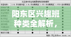 阳东区兴趣班种类全解析，阳东区兴趣班班型推荐