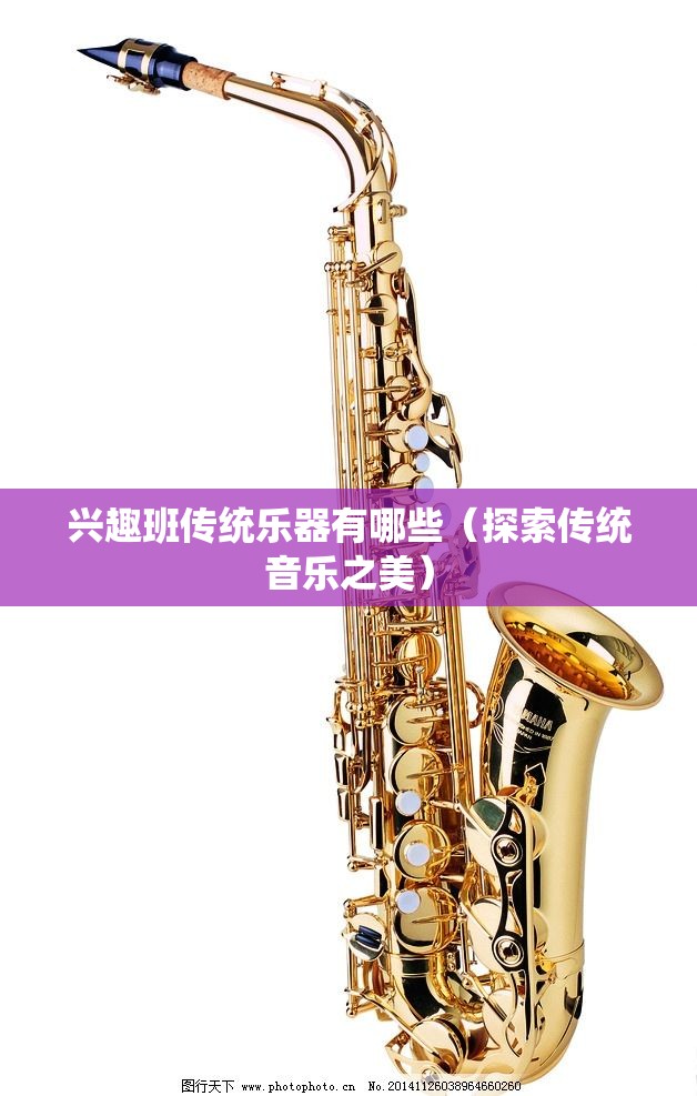 兴趣班传统乐器有哪些（探索传统音乐之美）