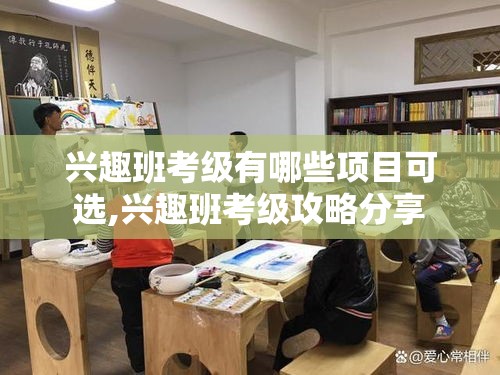 兴趣班考级有哪些项目可选,兴趣班考级攻略分享