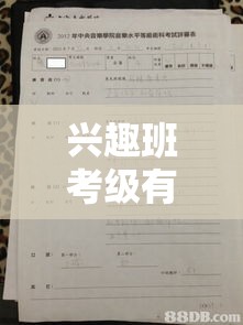 兴趣班考级有哪些项目可选,兴趣班考级攻略分享