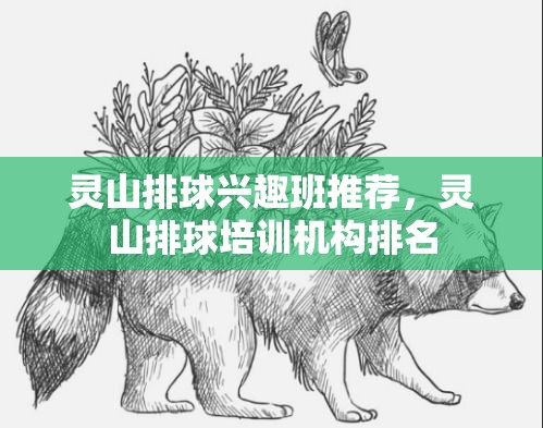 灵山排球兴趣班推荐，灵山排球培训机构排名