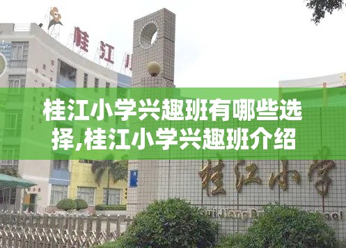 桂江小学兴趣班有哪些选择,桂江小学兴趣班介绍