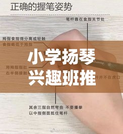 小学扬琴兴趣班推荐，小学生扬琴学习适合年龄