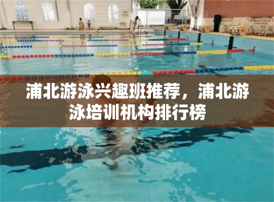 浦北游泳兴趣班推荐，浦北游泳培训机构排行榜