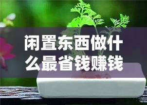 闲置东西做什么最省钱赚钱（闲置物品利用创业点子）