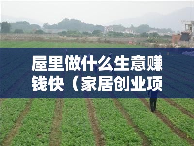 屋里做什么生意赚钱快（家居创业项目推荐）