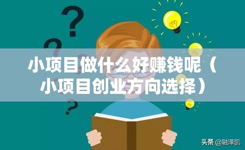 小项目做什么好赚钱呢（小项目创业方向选择）