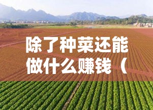 除了种菜还能做什么赚钱（农村创业项目推荐）