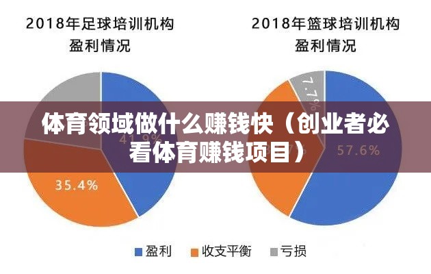 体育领域做什么赚钱快（创业者必看体育赚钱项目）