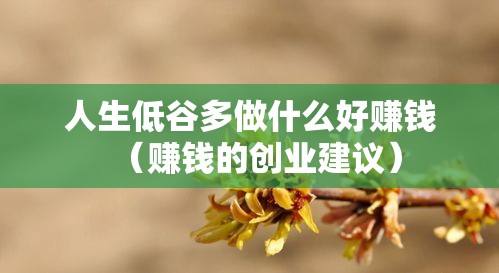 人生低谷多做什么好赚钱（赚钱的创业建议）