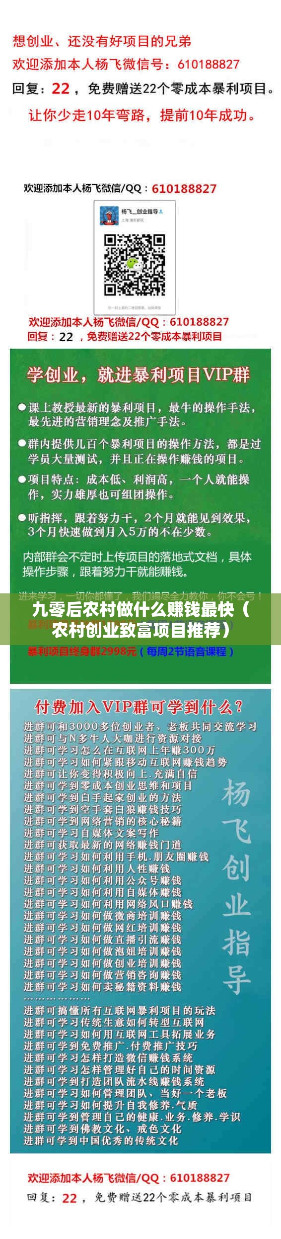 九零后农村做什么赚钱最快（农村创业致富项目推荐）