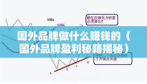 国外品牌做什么赚钱的（国外品牌盈利秘籍揭秘）