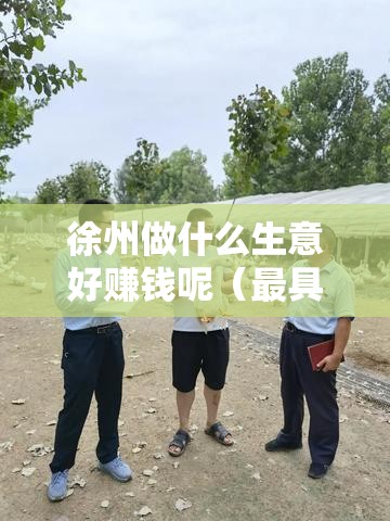 徐州做什么生意好赚钱呢（最具潜力的创业项目）