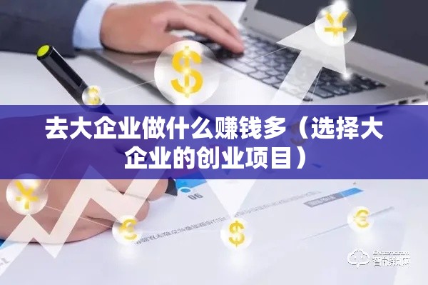 去大企业做什么赚钱多（选择大企业的创业项目）