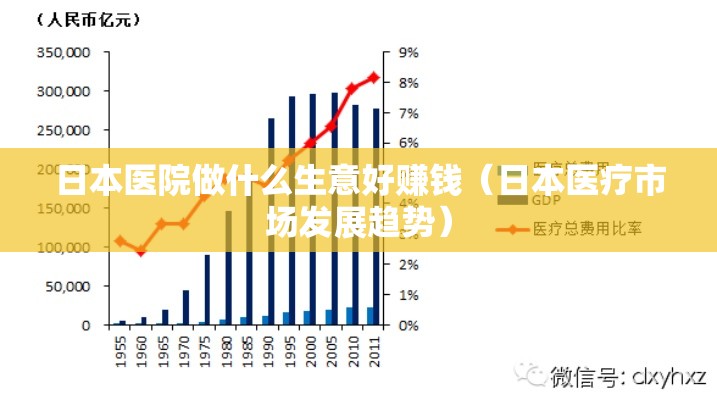 日本医院做什么生意好赚钱（日本医疗市场发展趋势）