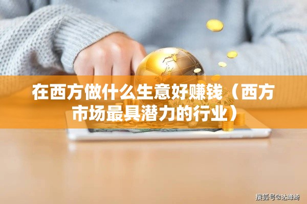 在西方做什么生意好赚钱（西方市场最具潜力的行业）